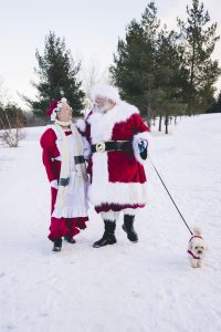 Santa Homepage