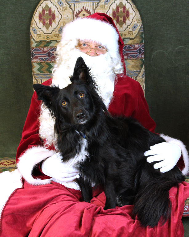 Santa Hank & Ollie North Van BC