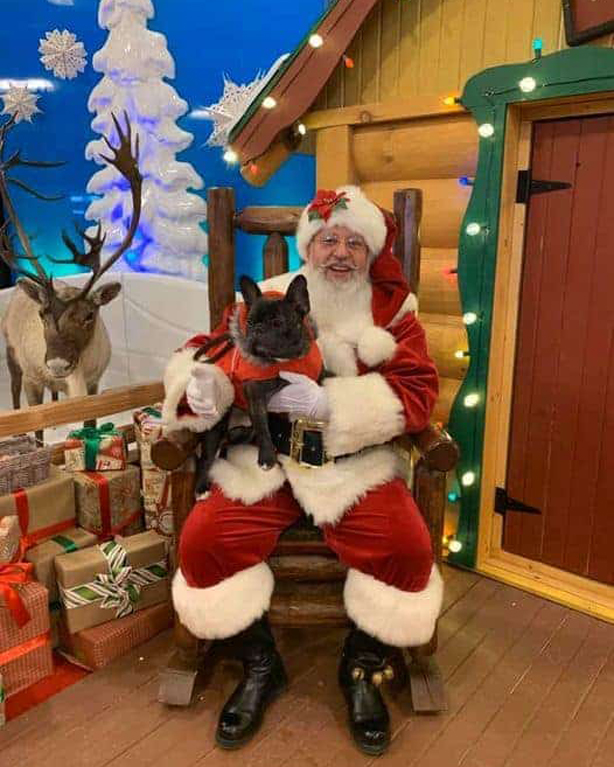 Santa Perry & Dog St. Albert AB