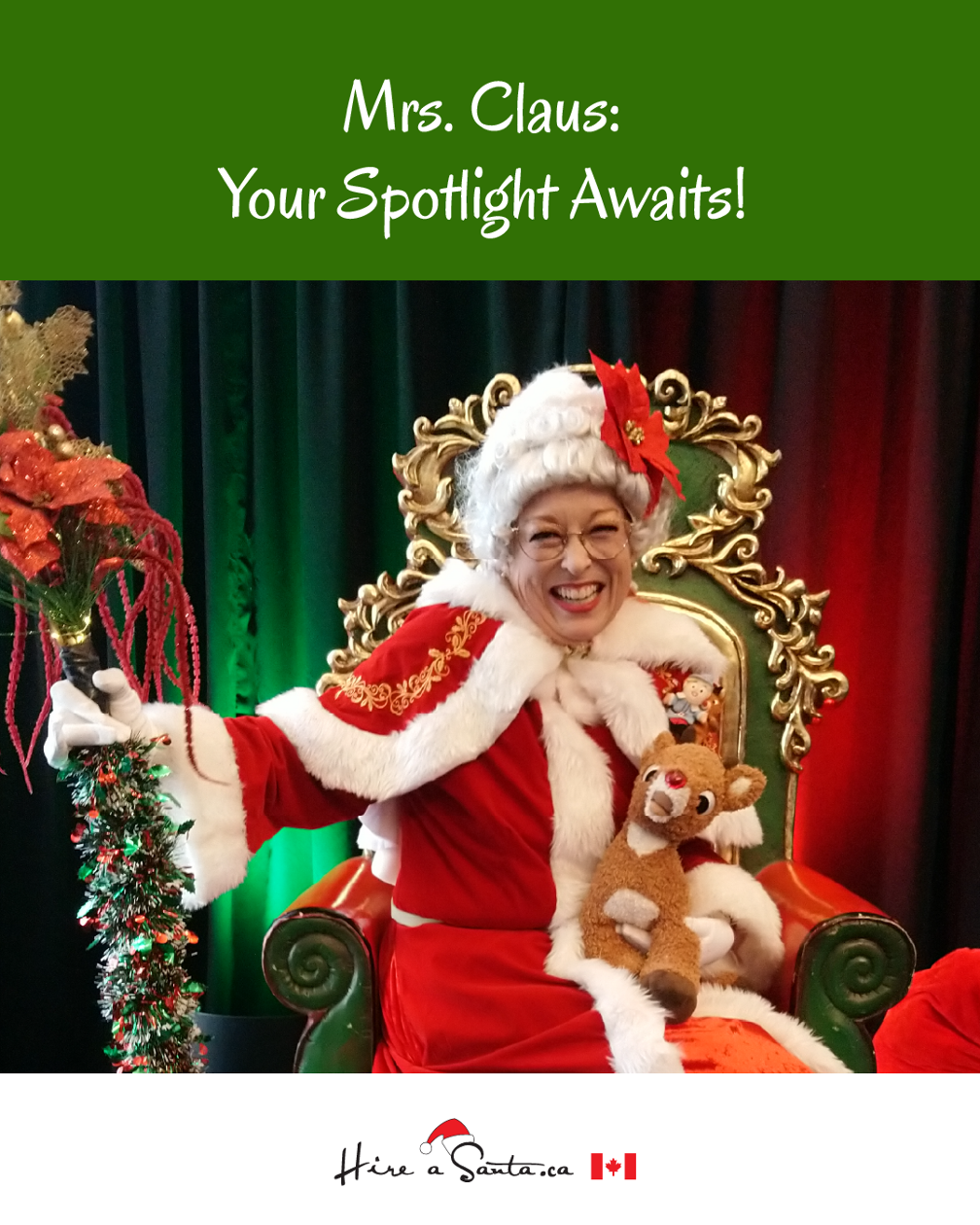 Mrs. Claus 2025 Program Fee