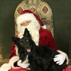 Elf Ollie & Santa Elf Ollie & Santa