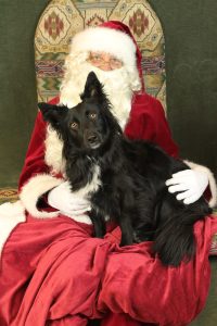 Santa Hank & Ollie